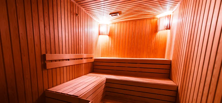 Electric Sauna Wiring Replacement in Brantford, Ontario